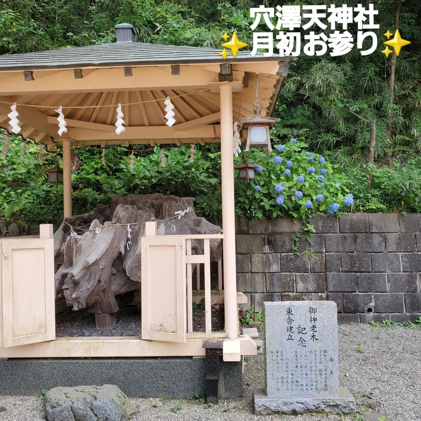 今月も月初のお参りに氏神様の「穴澤天神社」さんへ行ってきまし...